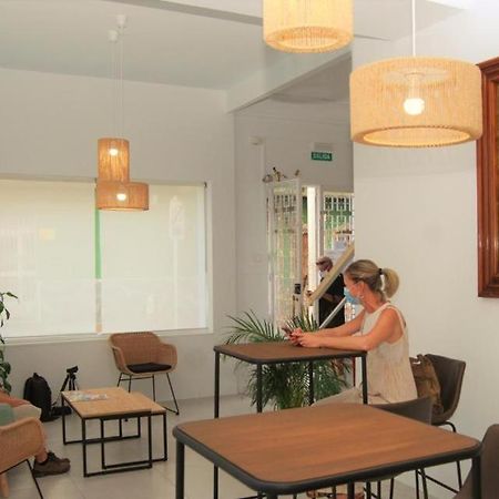 Hostal Tropical 莫特里尔 外观 照片